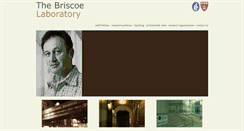 Desktop Screenshot of briscoelab.com