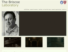 Tablet Screenshot of briscoelab.com
